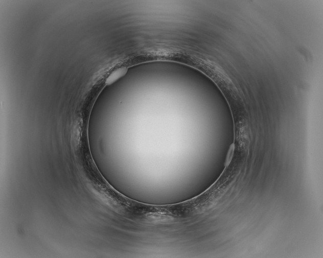 X0000111840544200907231410