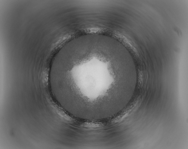 X0000111840545200907231410