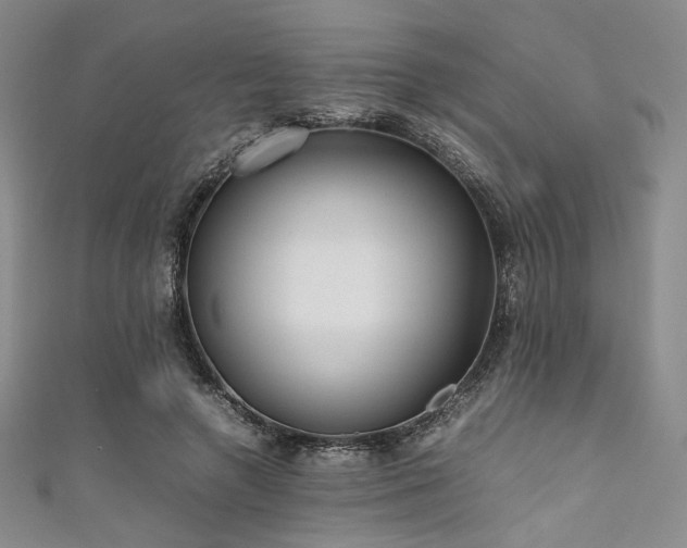 X0000111840546200907231410