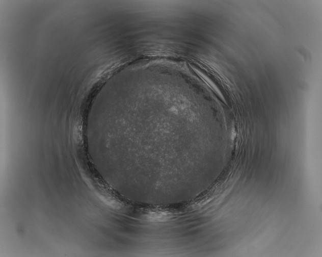 X0000111840547200907231410