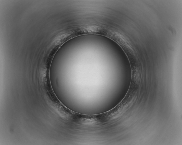 X0000111840548200907231410