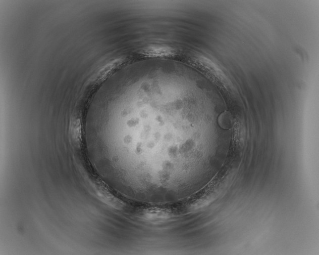 X0000111840549200907231410