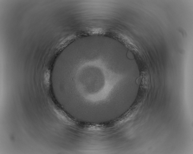 X0000111840550200907231410