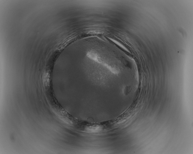 X0000111840551200907231410