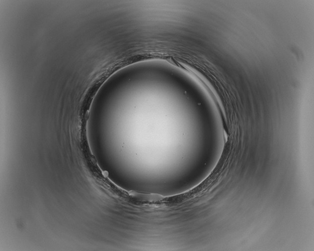 X0000111840552200907231410