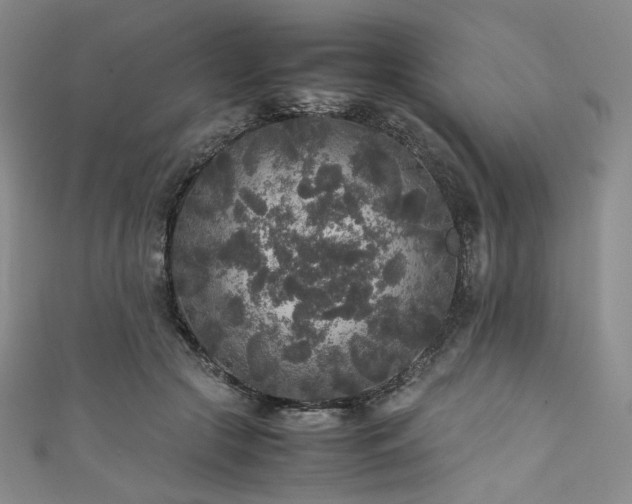 X0000111840553200907231410