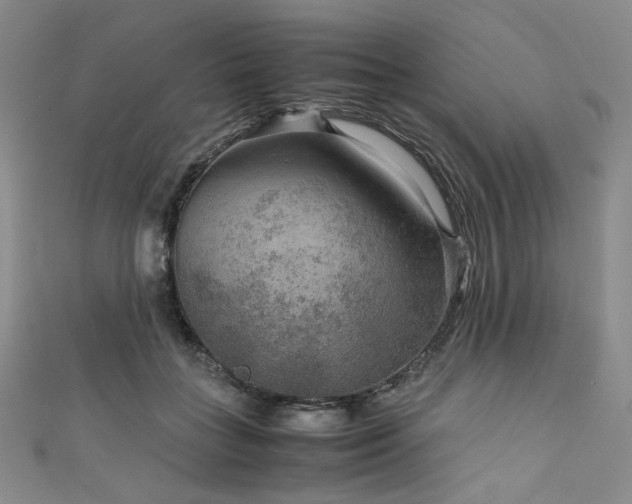 X0000111840555200907231410