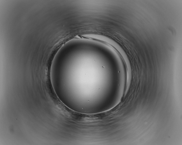 X0000111840556200907231410