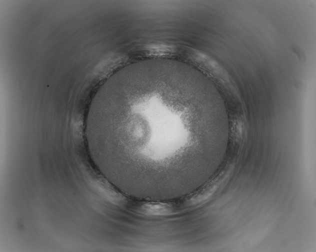 X0000111840557200907231410