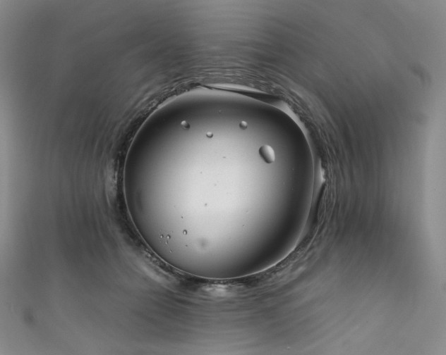 X0000111840558200907231410