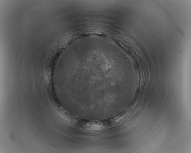 X0000111840559200907231410