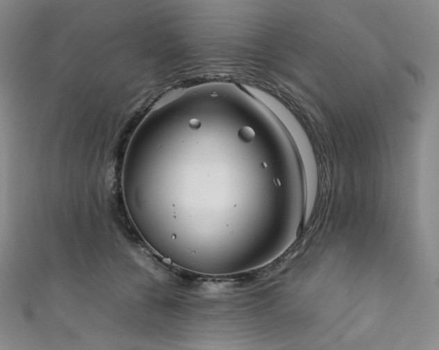 X0000111840560200907231410