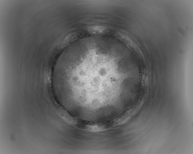 X0000111840561200907231410