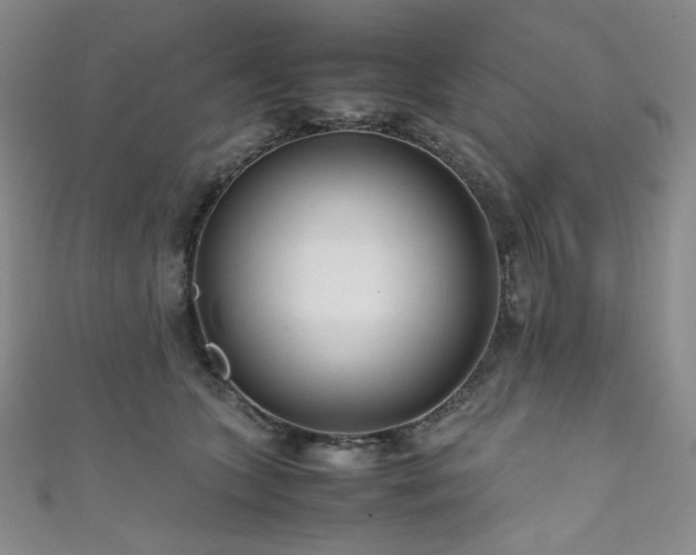 X0000111840563200907231410