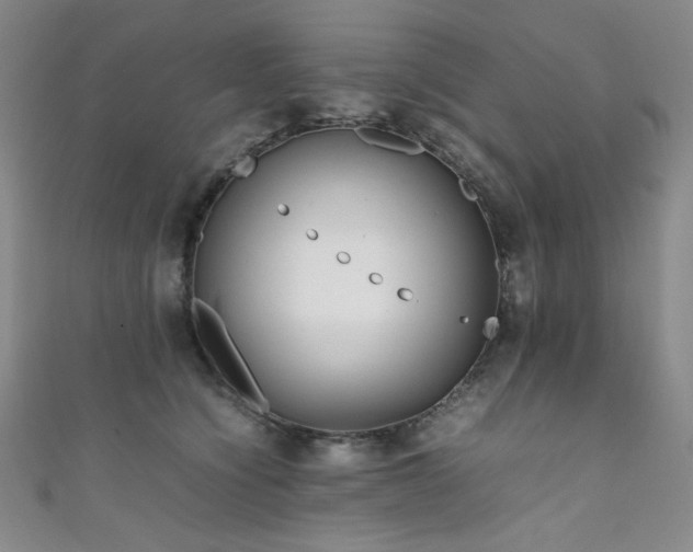 X0000111840564200907231410