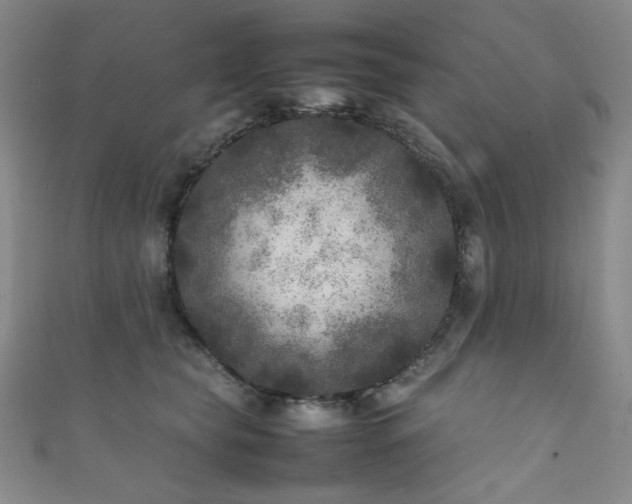 X0000111840565200907231410