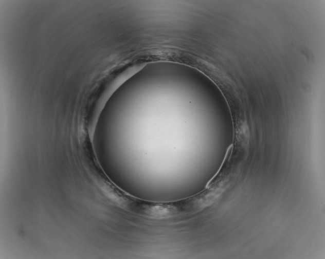 X0000111840566200907231410