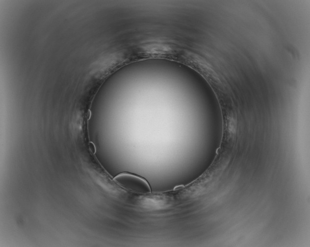 X0000111840567200907231410