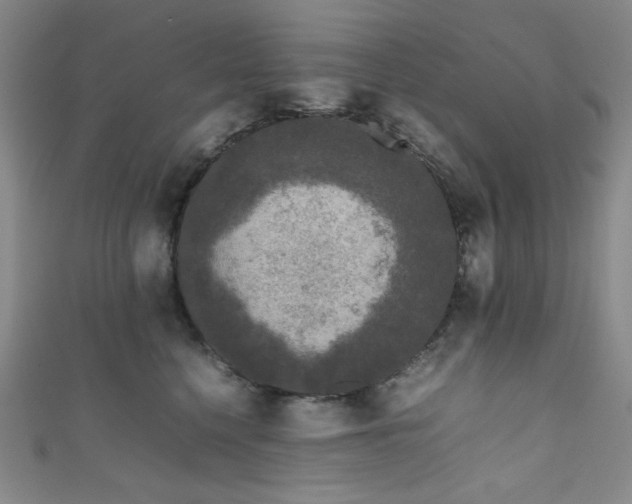 X0000111840568200907231410