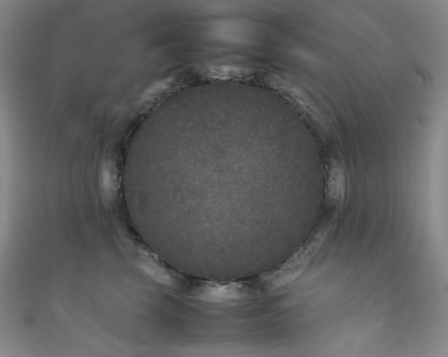 X0000111840569200907231410