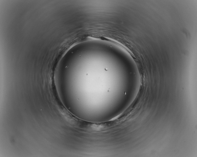 X0000111840570200907231410