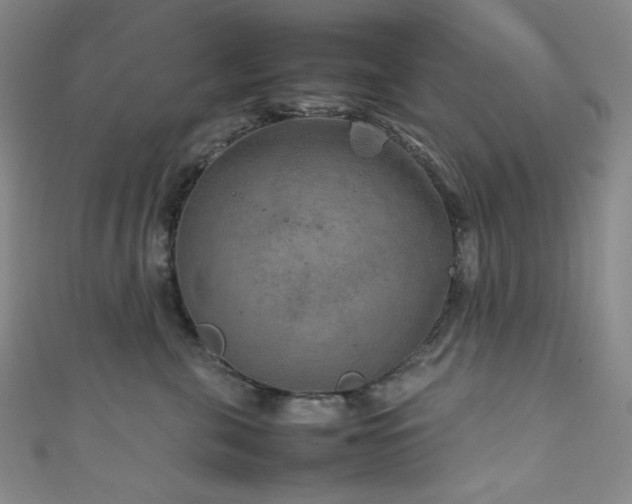 X0000111840571200907231410