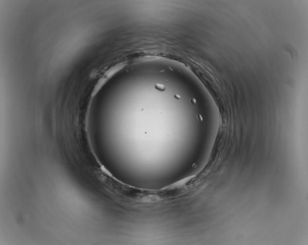 X0000111840572200907231410