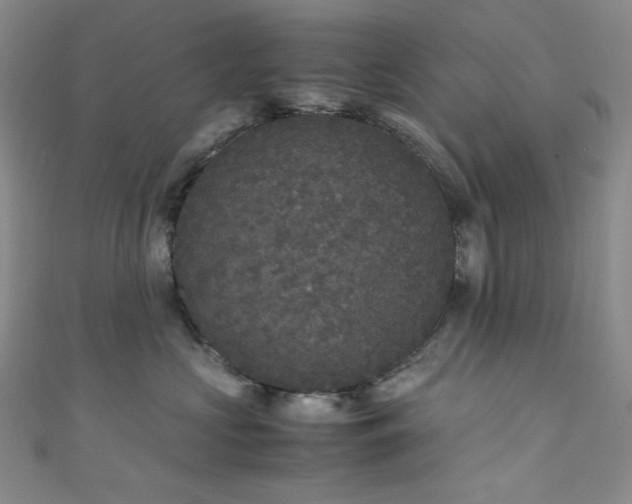 X0000111840573200907231411