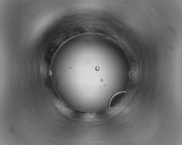 X0000111840574200907231411