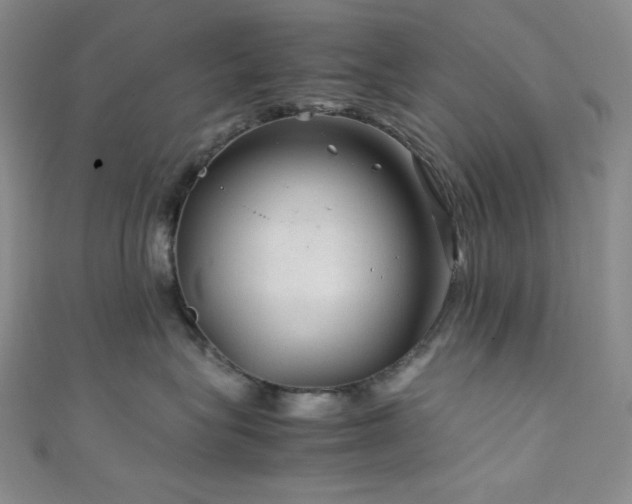 X0000111840575200907231411