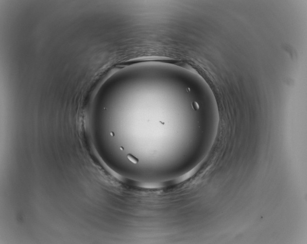 X0000111840576200907231411