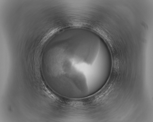 X0000111840577200907231410