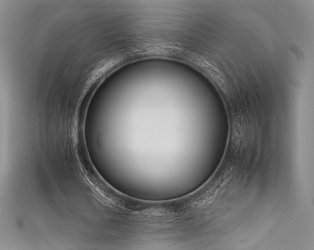 X0000111840578200907231410