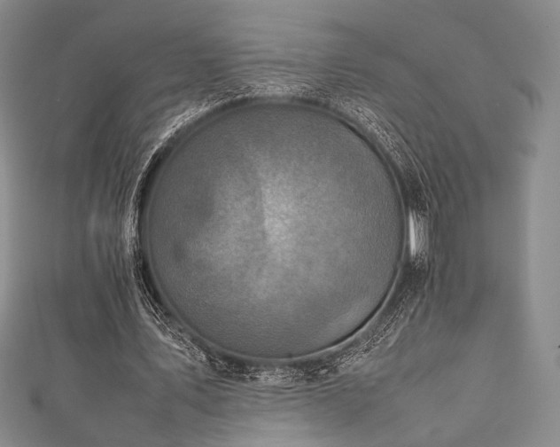 X0000111840579200907231410