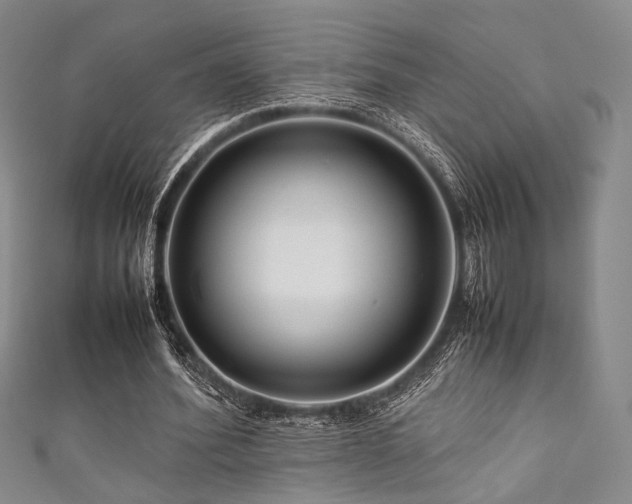 X0000111840580200907231410