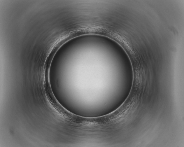 X0000111840582200907231410