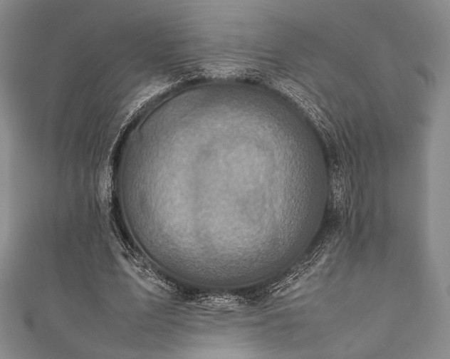 X0000111840583200907231410