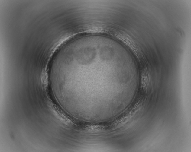 X0000111840584200907231410