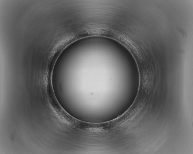 X0000111840586200907231410