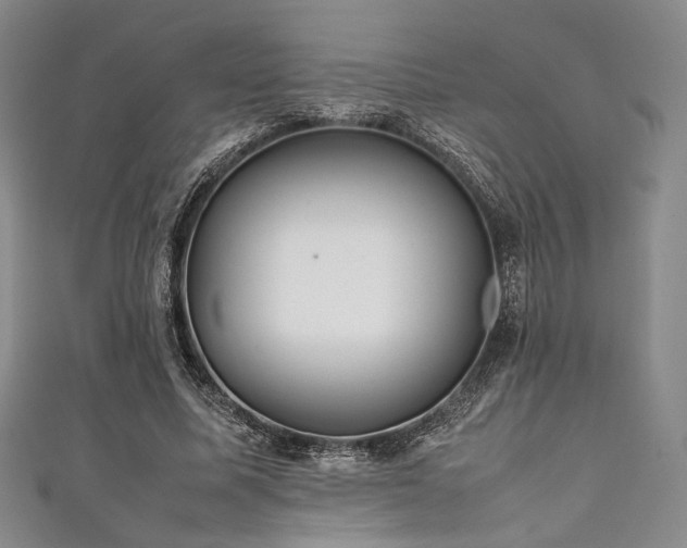 X0000111840587200907231410