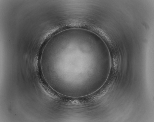 X0000111840588200907231410