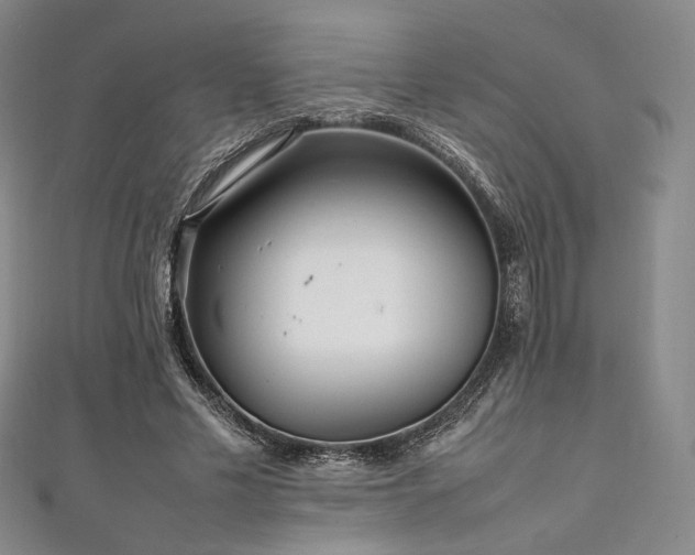 X0000111840589200907231410