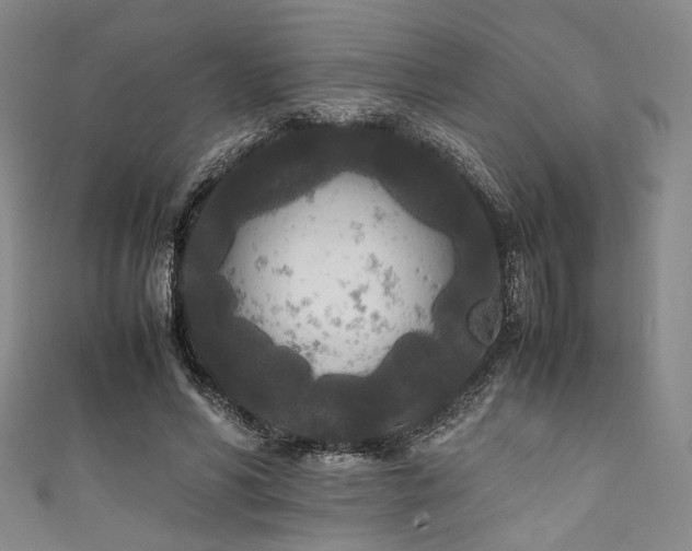 X0000111840590200907231410