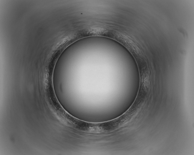 X0000111840591200907231410