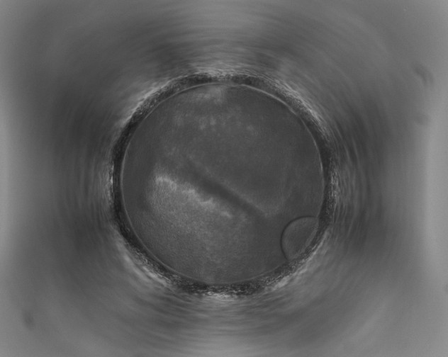 X0000111840592200907231410