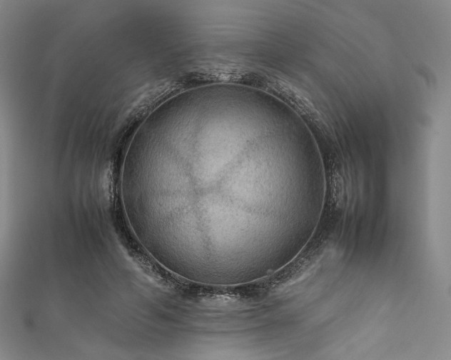 X0000111840594200907231410