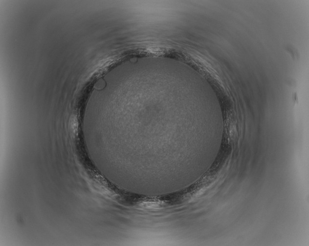 X0000111840595200907231410