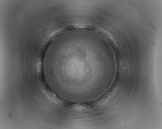 X0000111840596200907231409