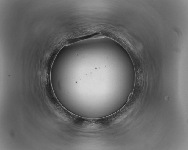 X0000111840597200907231409