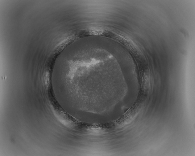 X0000111840598200907231409